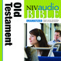 NIV Audio Bible Dramatized: Old Testament