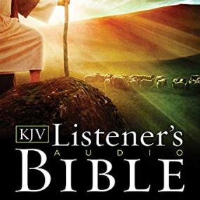 the book of numbers (nasb audio bible non dramatized)