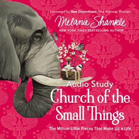 Church of the Small Things: Audio Bible Studies: Making a Difference Right Where You Are