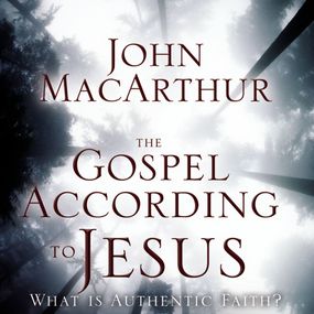 Gospel According to Jesus: What Is Authentic Faith?