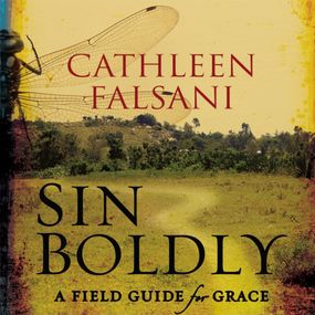 Sin Boldly: A Field Guide for Grace