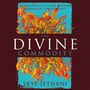 Divine Commodity: Discovering a Faith Beyond Consumer Christianity