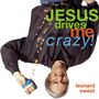 Jesus Drives Me Crazy!: Lose Your Mind, Find Your Soul