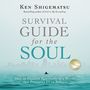 Survival Guide for the Soul: How to Flourish Spiritually in a World that Pressures Us to Achieve