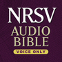 NRSV Audio Bible-Voice Only
