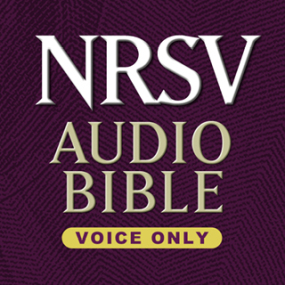 NRSV Audio Bible-Voice Only