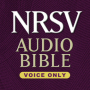 NRSV Audio Bible-Voice Only: New Testament