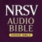 NRSV Audio Bible-Voice Only: New Testament