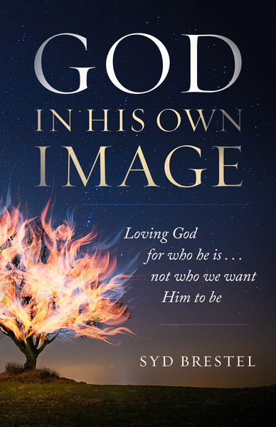 God in His Own Image: Loving God for Who He Is... Not Who We Want Him to Be