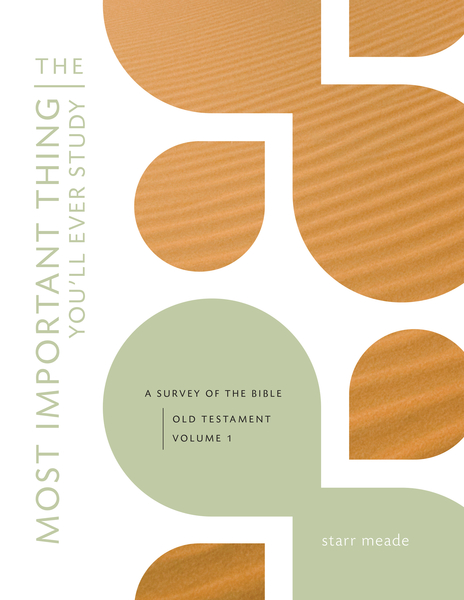 The Most Important Thing You'll Ever Study: A Survey of the Bible