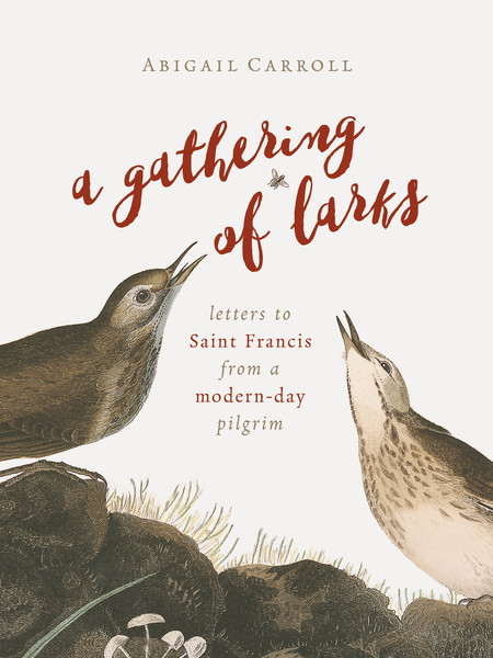 A Gathering of Larks: Letters to Saint Francis from a Modern-Day Pilgrim
