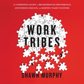 Work Tribes: The Surprising Secret to Breakthrough Performance, Astonishing Results, and Keeping Teams Together