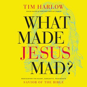 What Made Jesus Mad?: Rediscover the Blunt, Sarcastic, Passionate Savior of the Bible