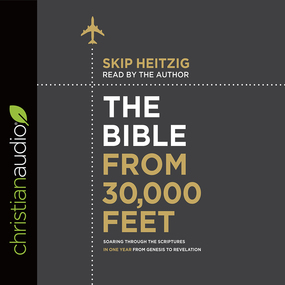 The Bible from 30,000 Feet: Soaring Through the Scriptures in One Year from Genesis to Revelation