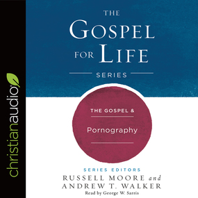 The Gospel & Pornography