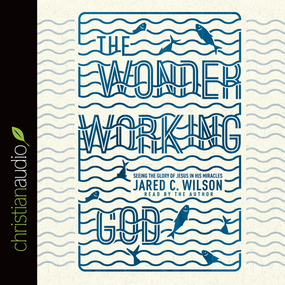 The Wonder-Working God: Seeing the Glory of Jesus in His Miracles