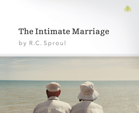 The Intimate Marriage