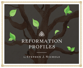 Reformation Profiles