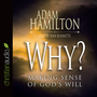 Why?: Making Sense of God's Will