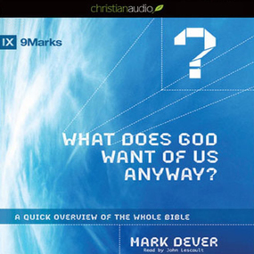 What Does God Want of Us Anyway: A Quick Overview of the Whole Bible