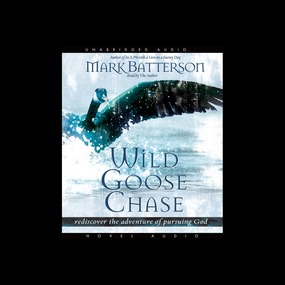 Wild Goose Chase: Rediscover the Adventure of Pursuing God