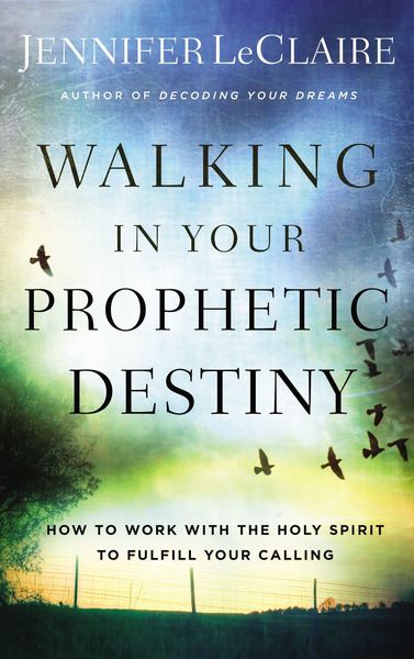 Walking in Your Prophetic Destiny: How to Work with The Holy Spirit to Fulfill Your Calling