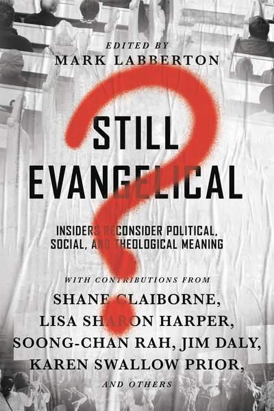 Still Evangelical?: Insiders Reconsider Political, Social, and Theological Meaning