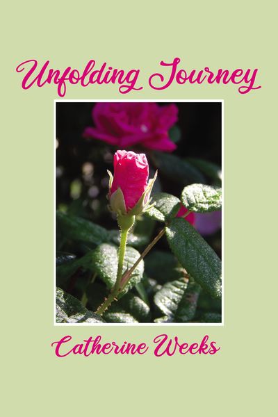 Unfolding Journey