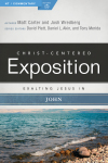 Exalting Jesus in John: Christ-Centered Exposition Commentary (CCEC)