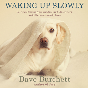 Waking Up Slowly: Spiritual Lessons from My Dog, My Kids, Critters, and Other Unexpected Places