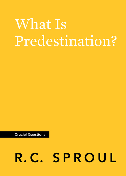 What Is Predestination?