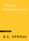 What Is Predestination?