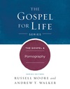 The Gospel & Pornography