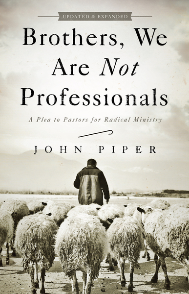 Brothers, We Are Not Professionals: A Plea to Pastors for Radical Ministry, Updated and Expanded Edition