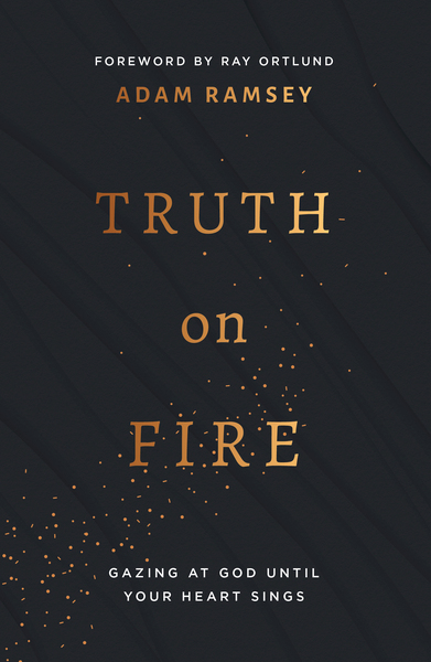 Truth on Fire: Gazing at God Until Your Heart Sings