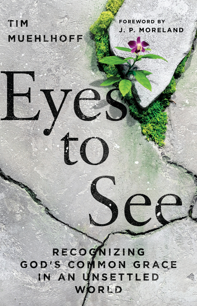 Eyes to See: Recognizing God's Common Grace in an Unsettled World