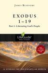 Exodus 1--19: Liberating God's People