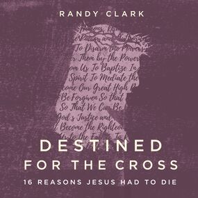 Destined for the Cross: 16 Reasons Jesus Had to Die