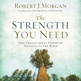 Strength You Need: The Twelve Great Strength Passages of the Bible