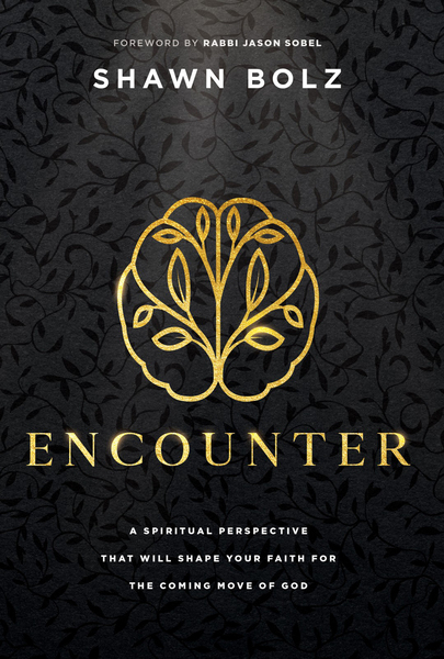 Encounter: A Spiritual Perspective That Will Shape Your Faith for the Coming Move of God