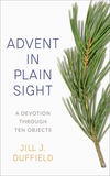 Advent in Plain Sight: A Devotion through Ten Objects