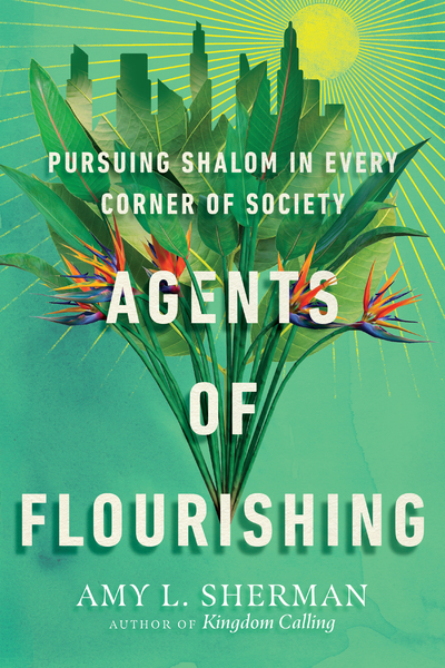 Agents of Flourishing: Pursuing Shalom in Every Corner of Society