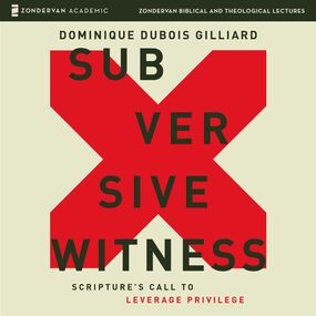 Subversive Witness Audio Lectures: Scripture's Call to Leverage Privilege