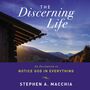 Discerning Life: An Invitation to Notice God in Everything