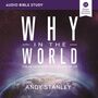 Why in the World: Audio Bible Studies: The Reason God Became One of Us