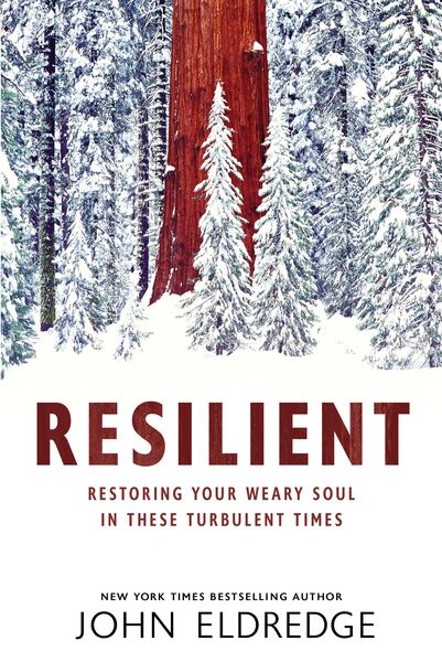 Resilient: Restoring Your Weary Soul in These Turbulent Times