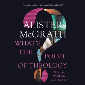 What's the Point of Theology?: Wisdom, Wellbeing and Wonder