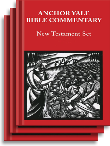Anchor Yale Bible: New Testament