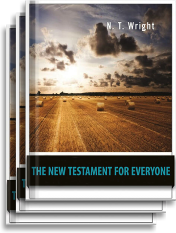 For Everyone Commentary Series: New Testament