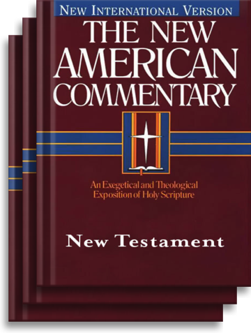 New American Commentary: New Testament